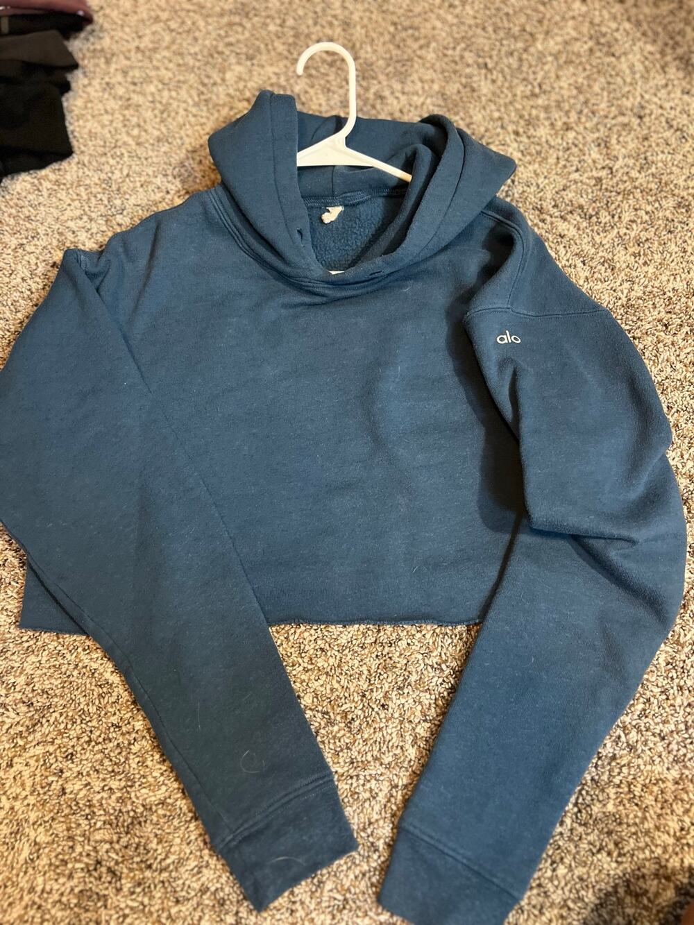 Alo crop hoodie
